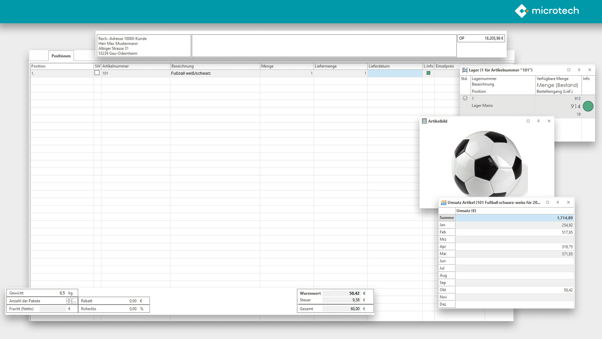 screenshot of microtech ERP